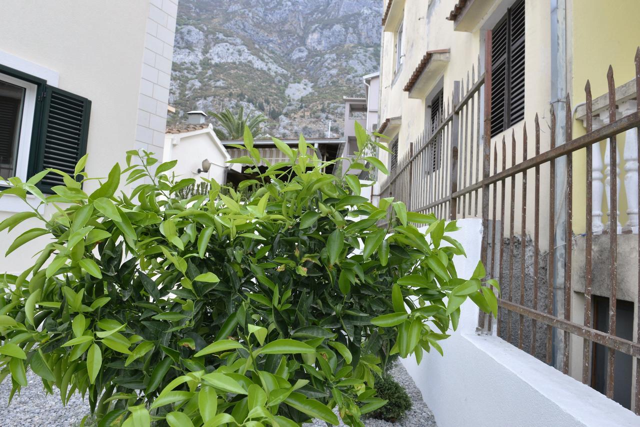 Melodia Del Mare Lägenhet Kotor Exteriör bild